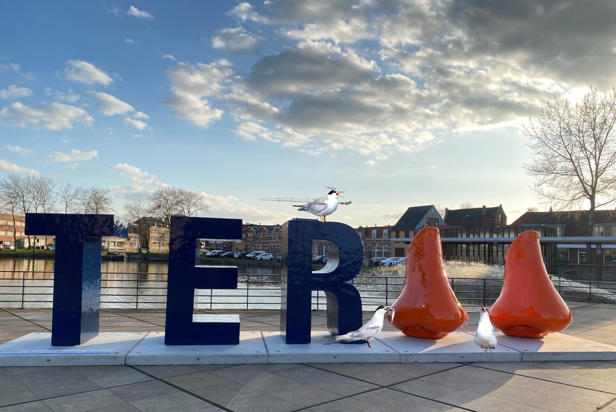 TERneuzen visdiefjes