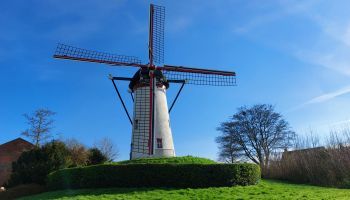 molen