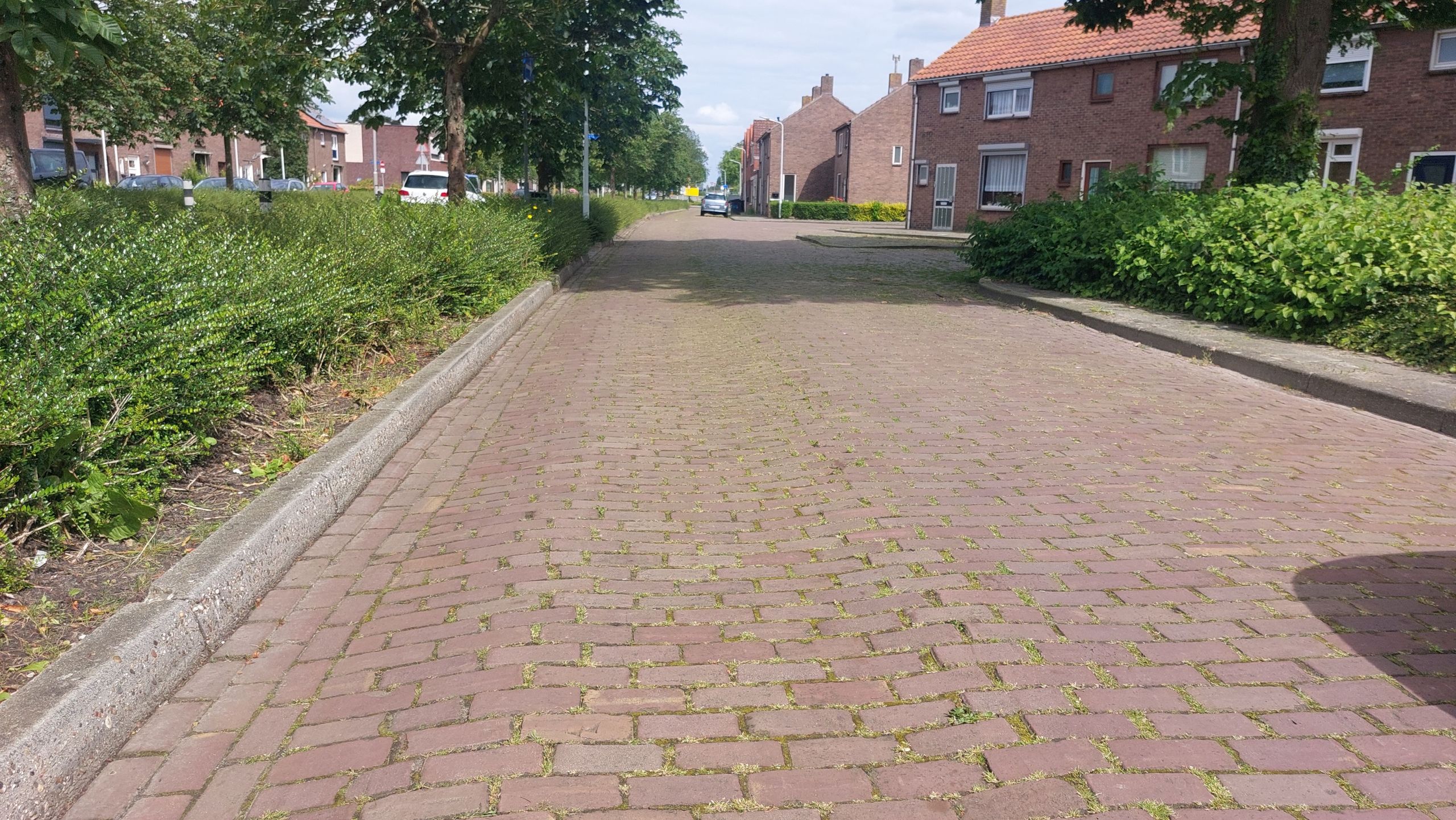 Bolwerk SvG