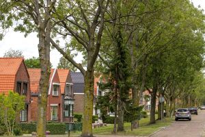 basisschool de oude vaart terneuzen mon