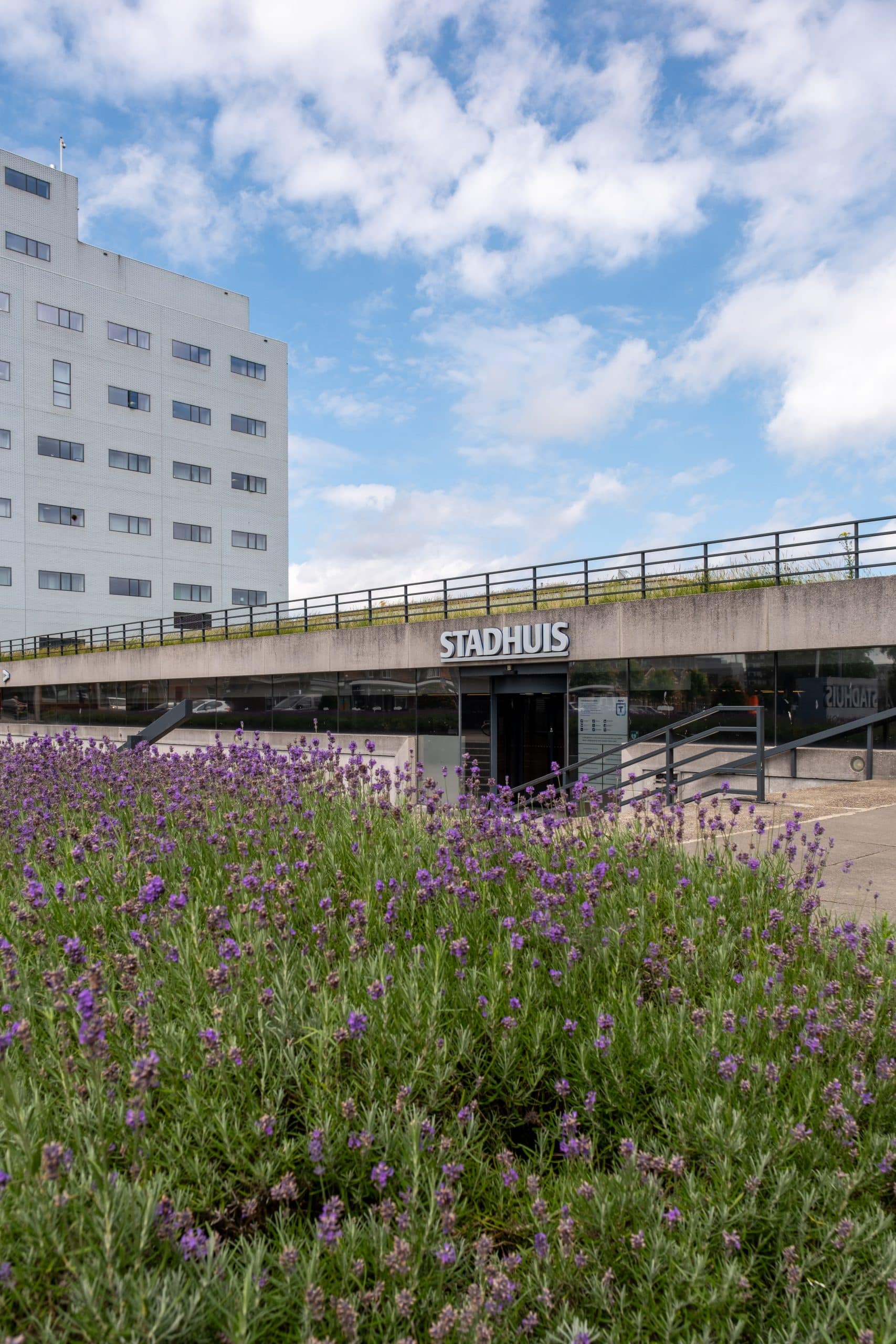 stadhuis lavendel
